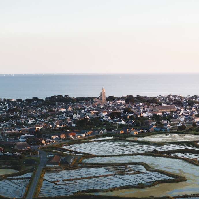 Balade Nature - Lecture de paysages