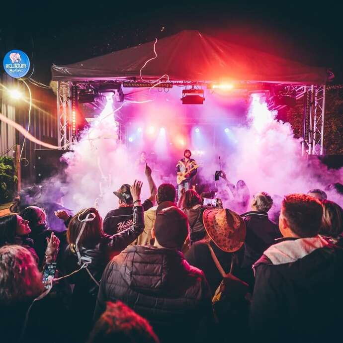 Concert avec le groupe "LES GAILLARDS D'EN FACE"