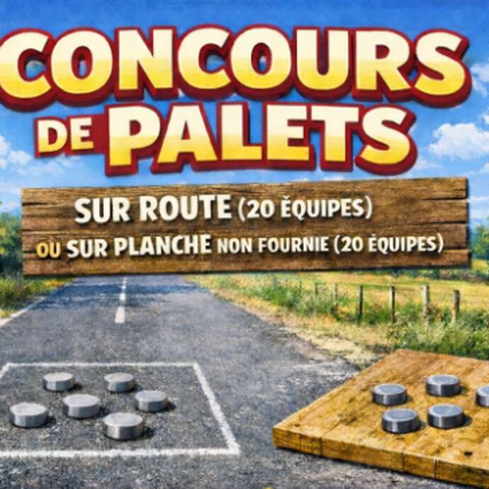 Concours de palets