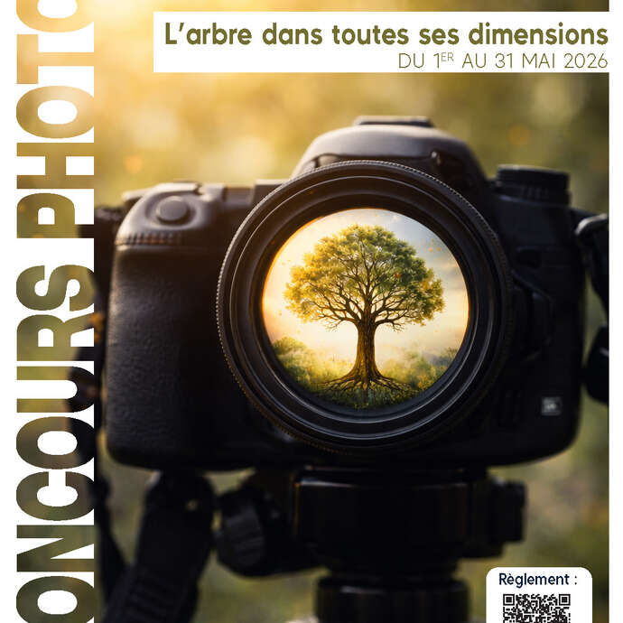Concours de photographies