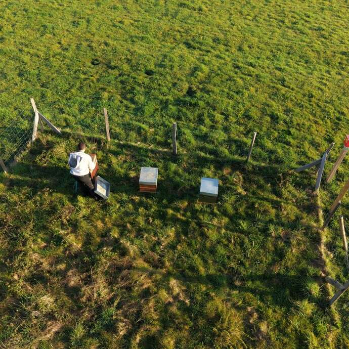 Découverte des ruches