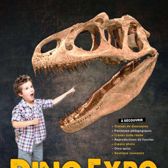 Dino Expo