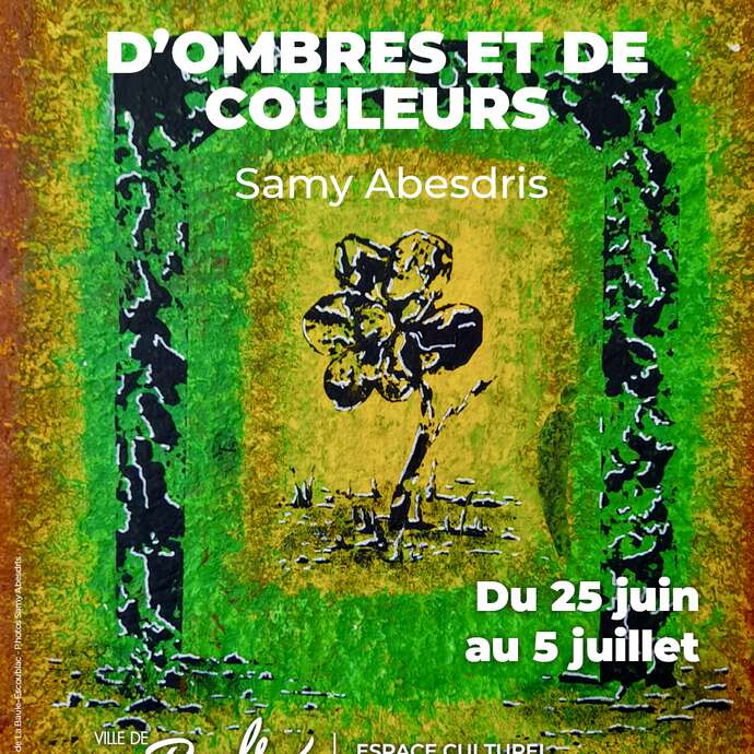 Exposition : D'ombres et de couleurs de Samy Abesdris