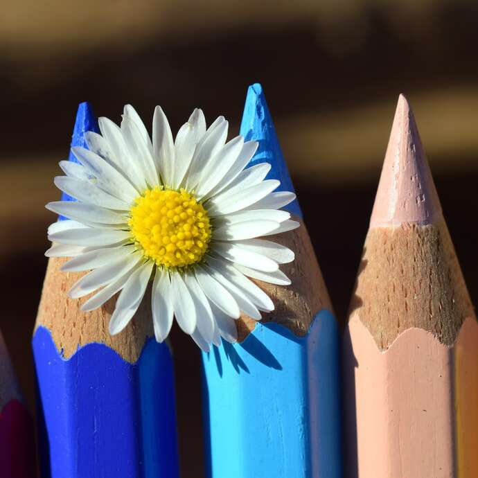 Exposition : Talents d'écoliers