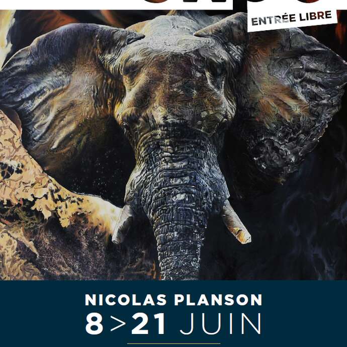 Exposition - Beauté Sauvage
