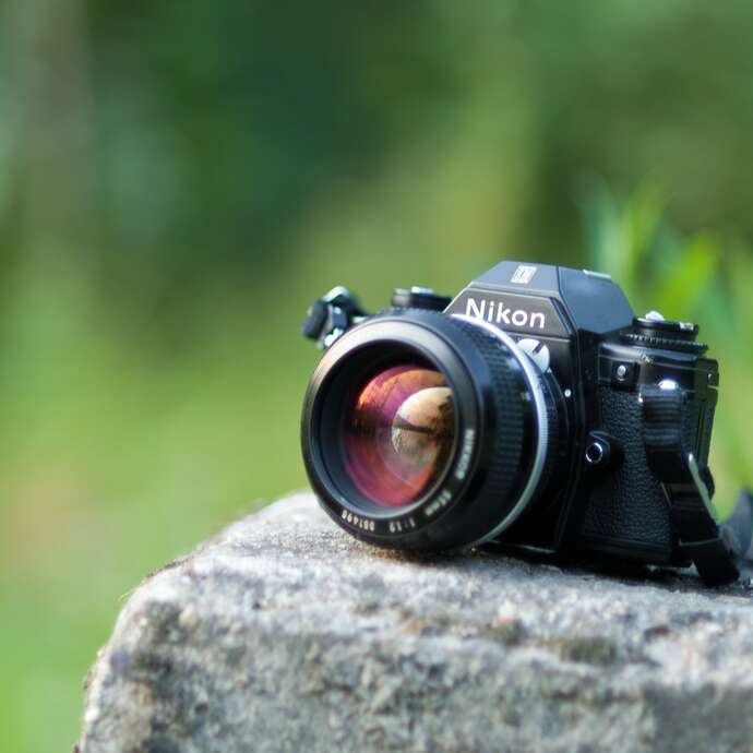 Exposition - Regards
