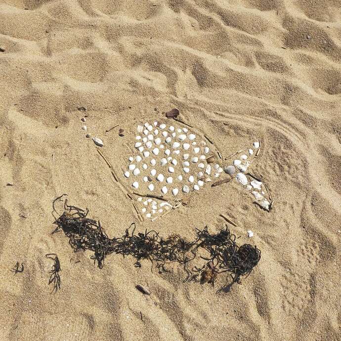 Ordinary Foreshore Survey