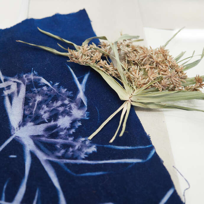 Fabrique de Cyanotype