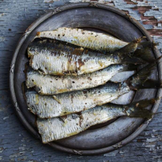 Fête de la sardine