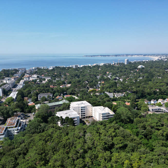 Forêt d'Escoublac - Histoire Dune Forêt