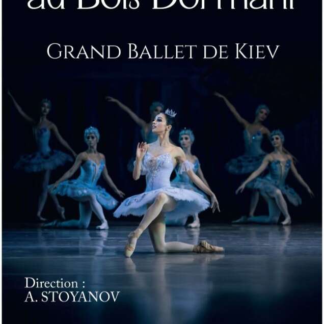 La belle au bois dormant