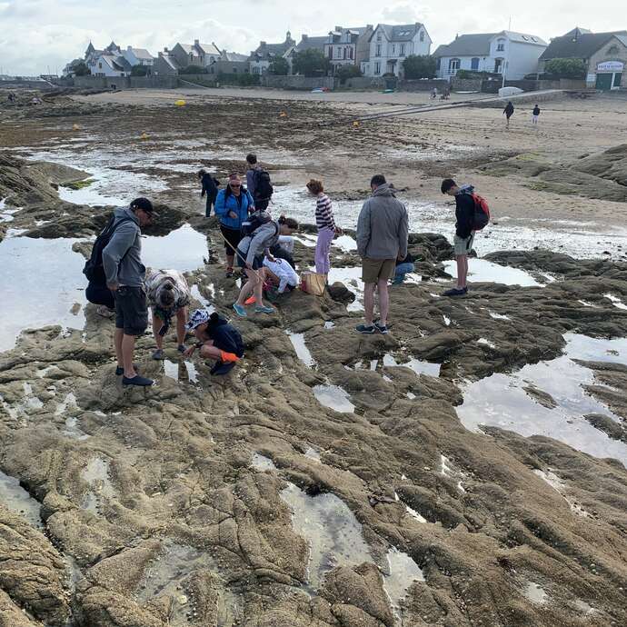Découvrez la vie à marée basse