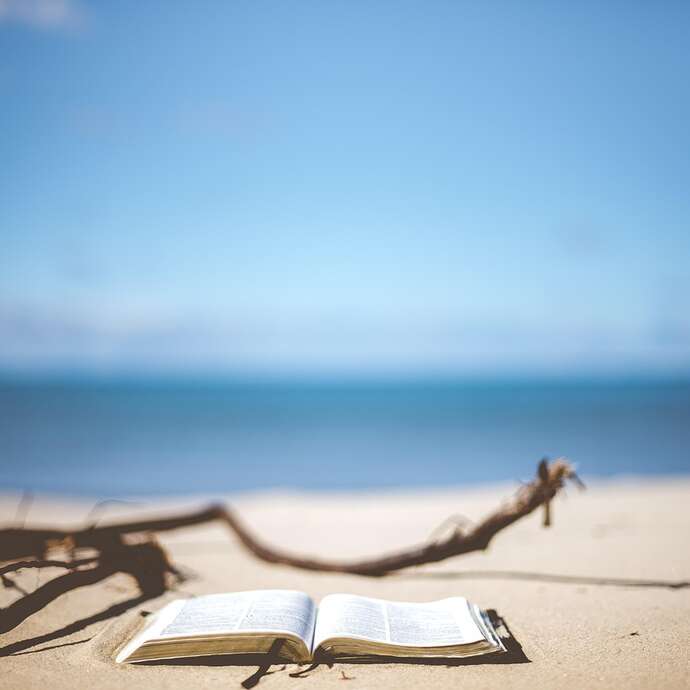 Lectures à la plage de Loscolo