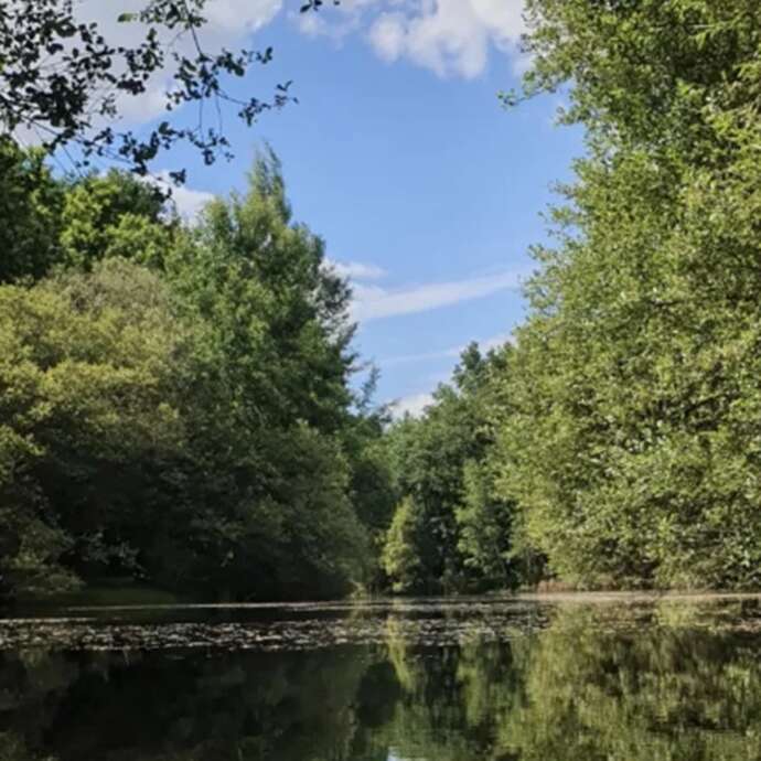 Les Chemins d'éléonore