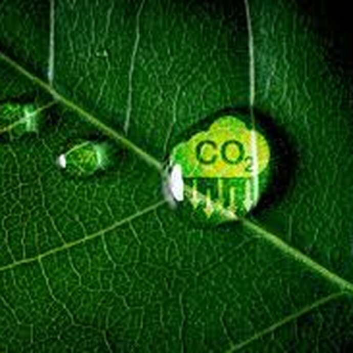 Atelier rencontre : carbone