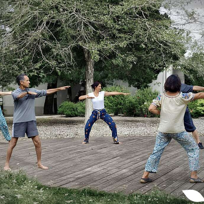 Qi Gong en plein air