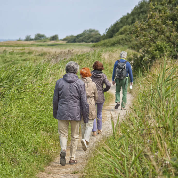 Randonnée pédestre