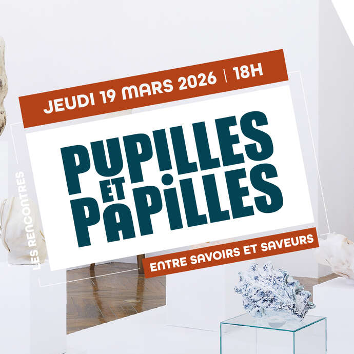 Rencontre gratuite - "Quand le sel s’invite dans l’art contemporain"