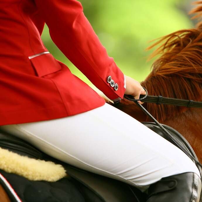 Stage - Équitation