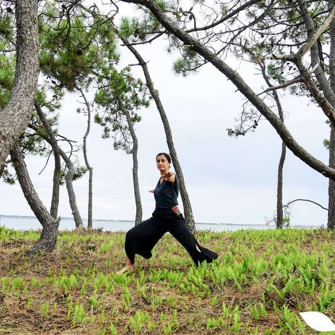 Stage de Qi Gong : Découvrir le Siu Lohan Qi Gong