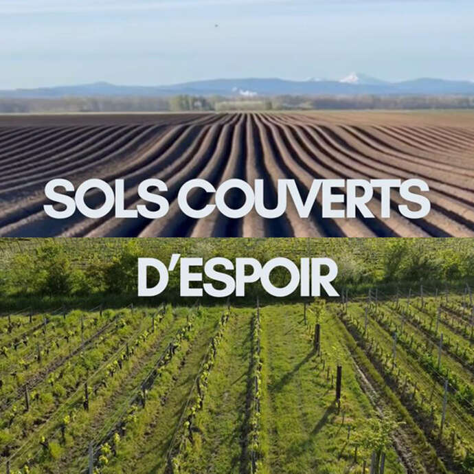 Soirée projection de films - Sols couverts d'espoir