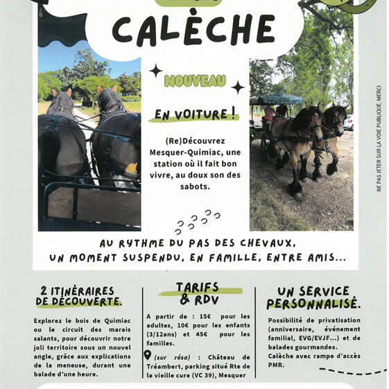 Balades en calèche