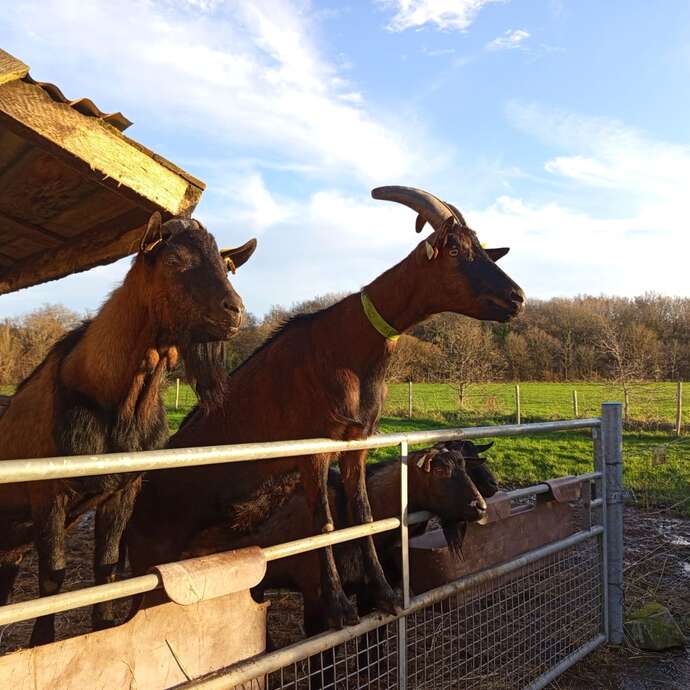 Visite de la ferme du Bois Nozay