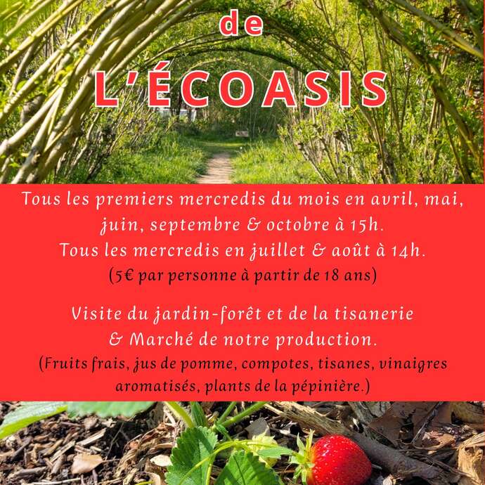 Visite guidée de l'Ecoasis
