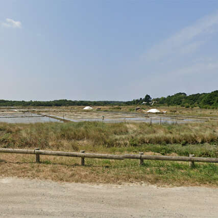 Visite de saline avec Guy-Marie