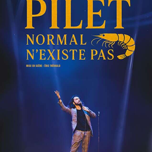 William Pilet "Normal n'existe pas" - les voiles de l'humour