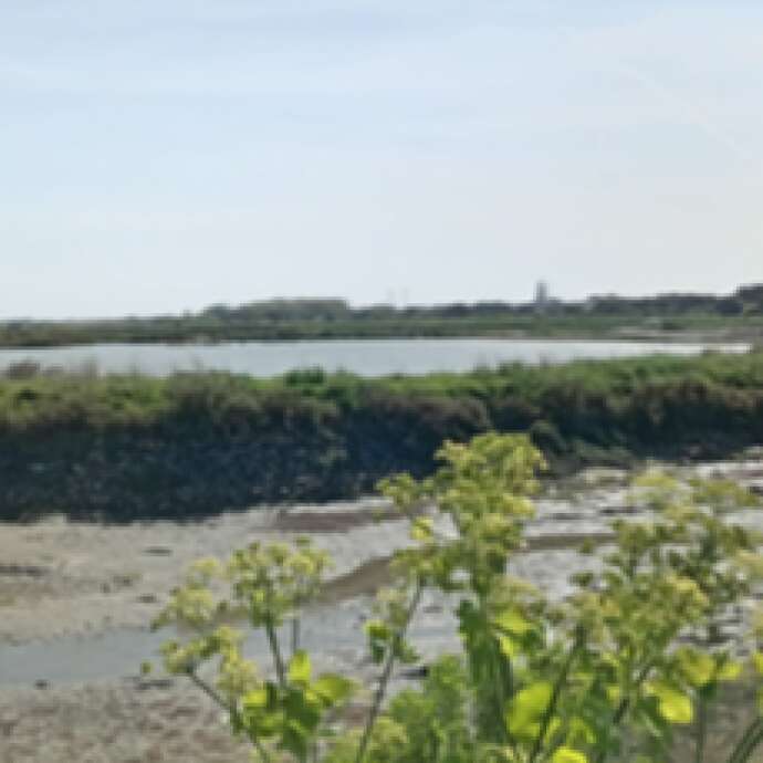 Inauguration panneau chemin ludique « À la découverte du traict »