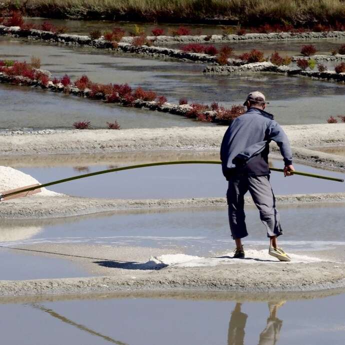 Visite courte de la Saline Le Gahet