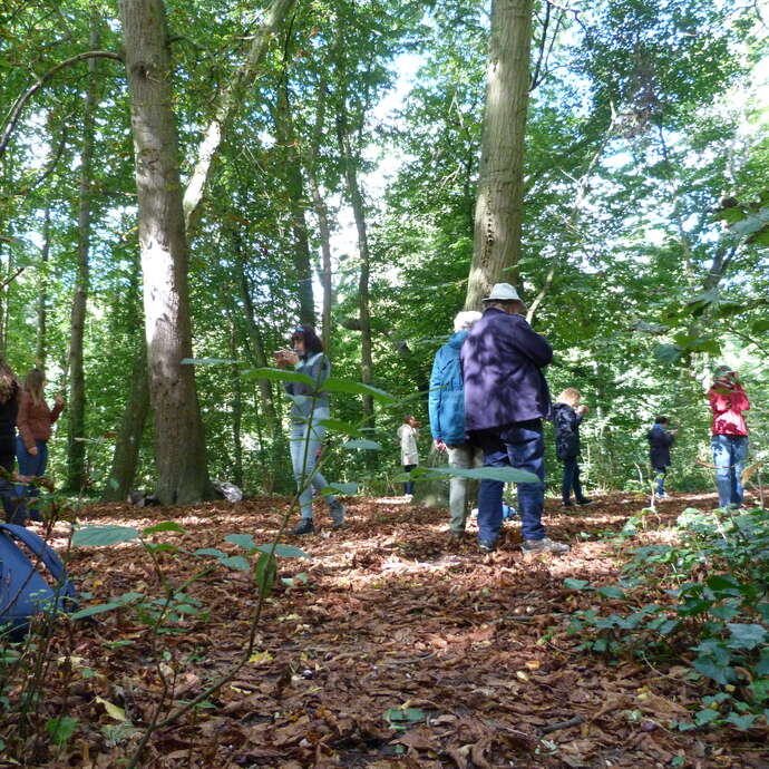 Atelier dès 15 ans | Paysage sensible