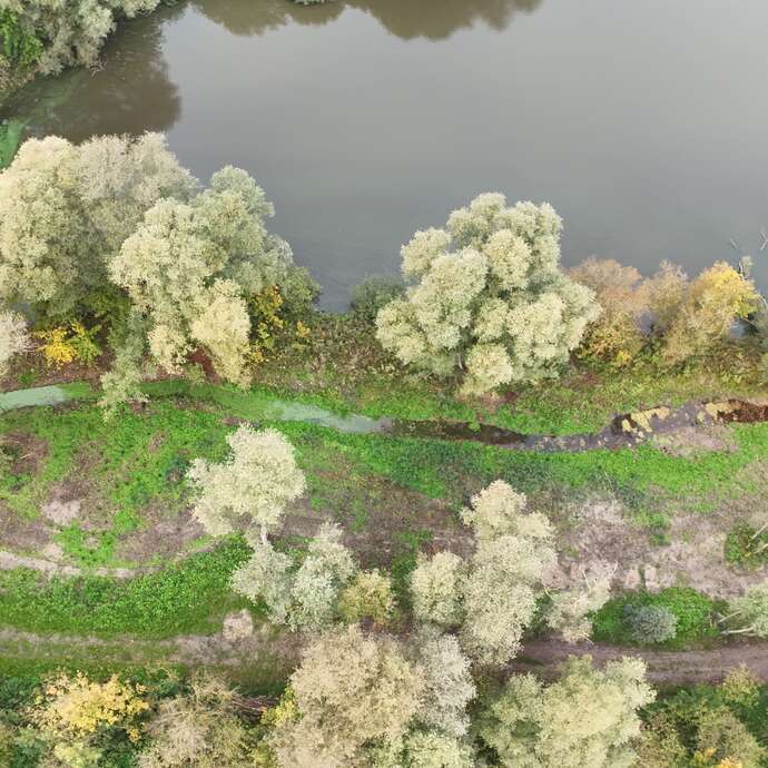 JMZH | Visite commentée d'une frayère à brochets