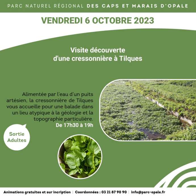 VISITE GUIDÉE | Visite découverte de la cressonnière à Tilques