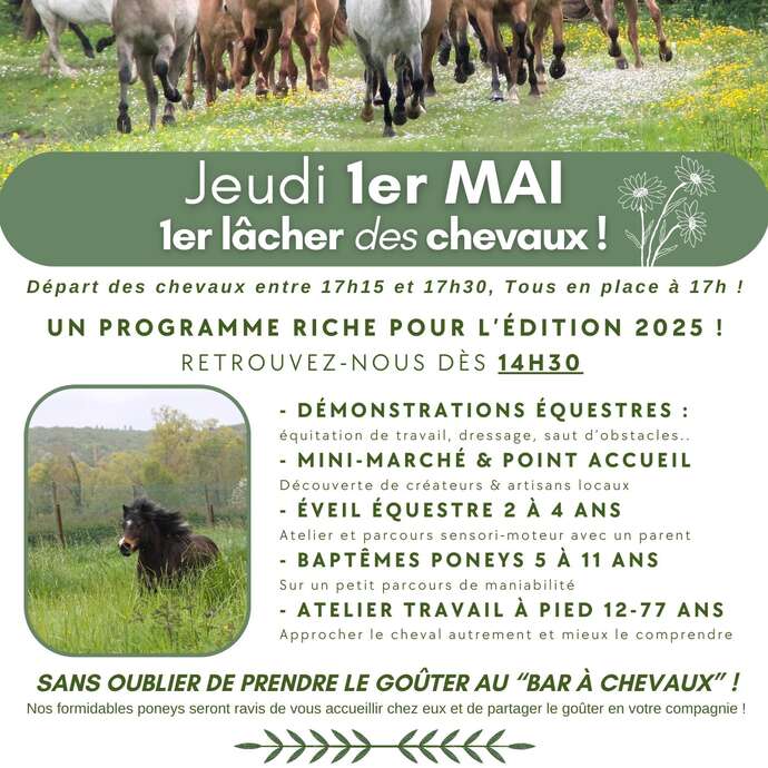 Bar à chevaux et lâcher de chevaux - Programme du Printemps à la ferme en Hauts-de-France au Lieu Dieu