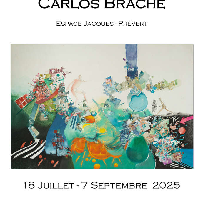 Exposition Carlos Braché