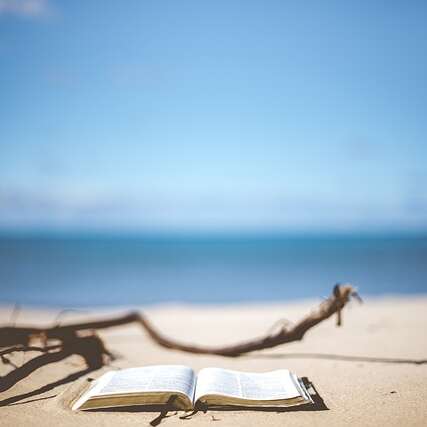 Cabine "Bain de lecture"