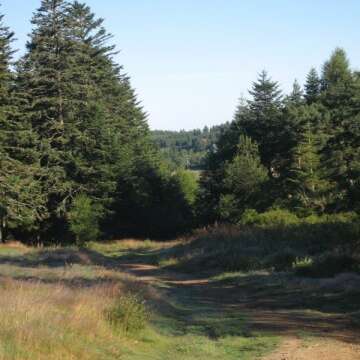 Sentier du Bois de la Trappe