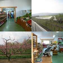 Produits Délice Dumoulin Fruits