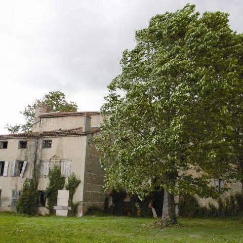Moingt, la gallo-romaine - Sentier thématique