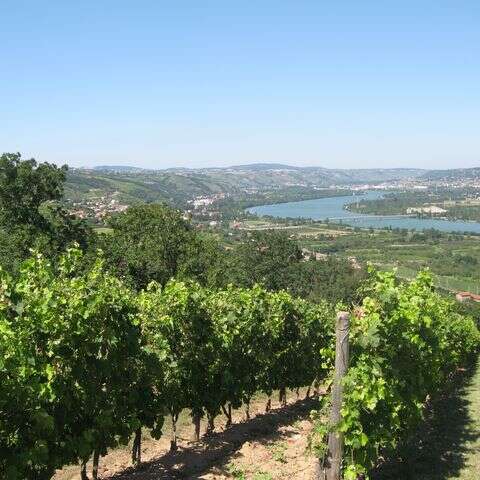 Sentier des vignobles