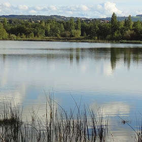 VTT N°108 Saint-Rambert et l'Etang David