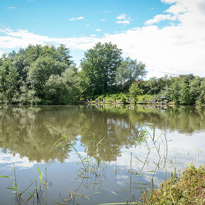 Les balades riorgeoises - Le bocage
