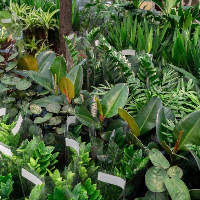 Diaporama conférence