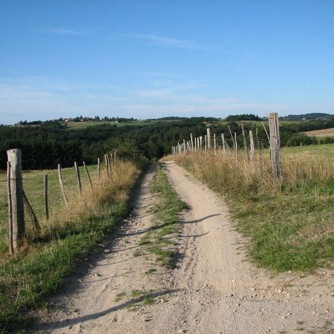 GRP® - Les Gorges de la Loire - Etape 2 : Biesse (Chambles) / Aurec-sur-Loire