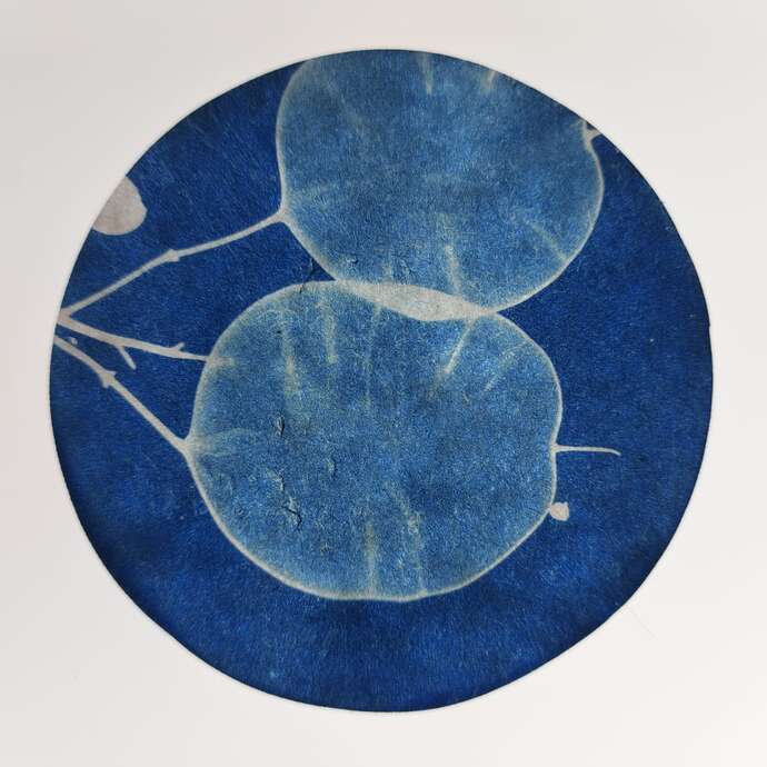 Exposition - Art, science et végétal