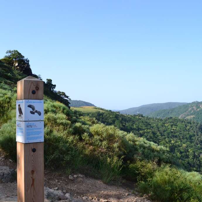Création de décorations de Noël avec la Réserve Naturelle Régionale des Gorges de la Loire