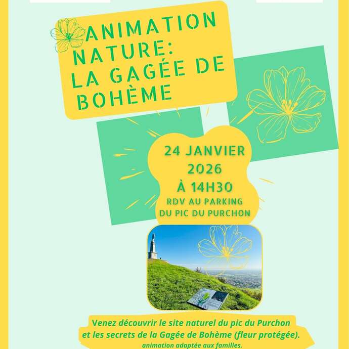Sortie nature commentée "Piton basaltique et gagée de Bohème"