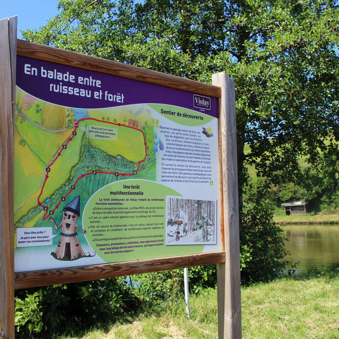 Sentier pédagogique - Entre ruisseau et forêt
